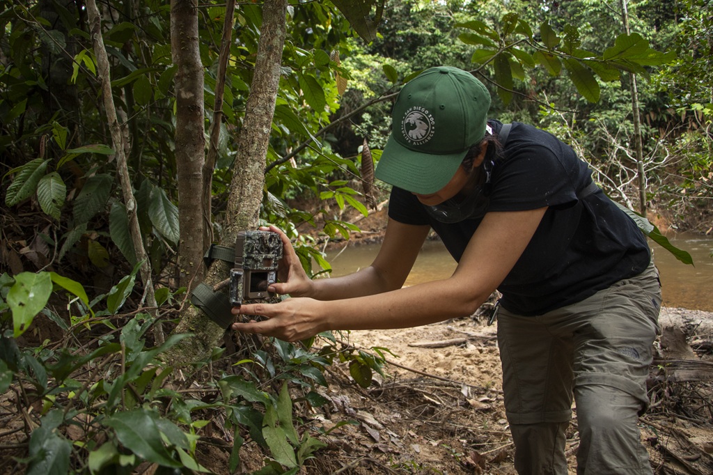 Coexistencia Humano-Fauna